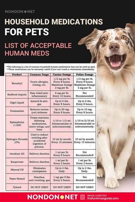 Are Pet Meds From Australia Safe Pet Meds Australia How To Save
