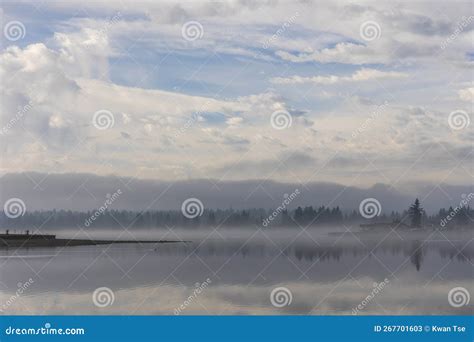 Winter Landscapes On Lake Tapps Park With Mt Rainier Background Stock