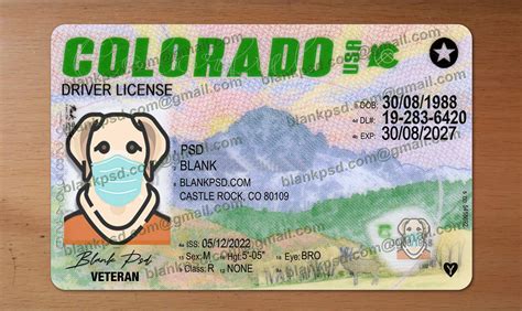 Blank Colorado Drivers License Template