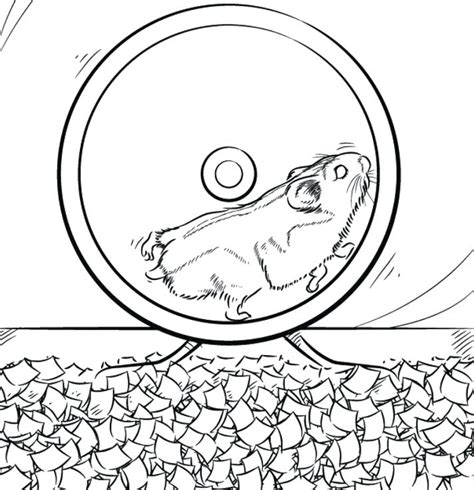 Cute Hamster Coloring Pages At Free