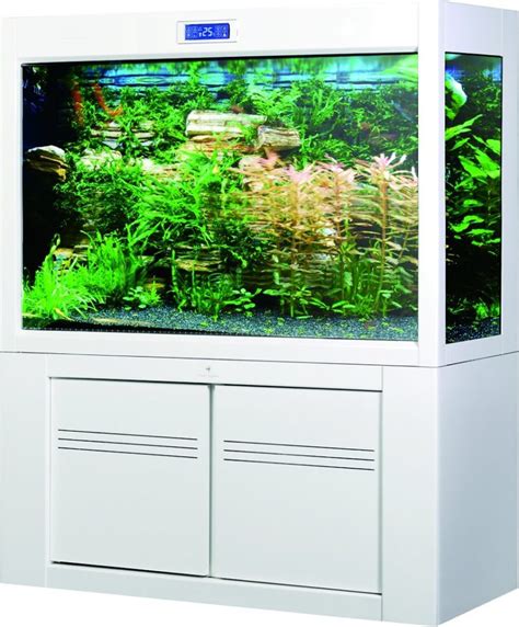 White Fish Tank Aesthetics Of Design