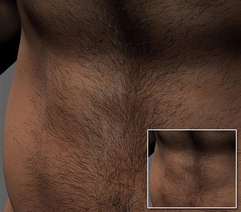 Real Hairy Wip Commercial Daz 3d Forums