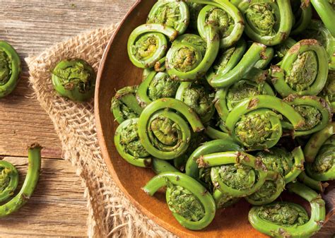 Benefits Of Fiddleheads Canadian Living