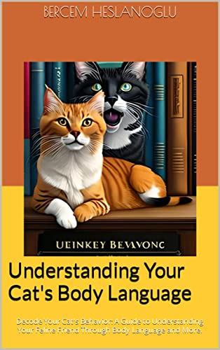 Understanding Your Cat S Body Language Decode Your Cat S Behavior A