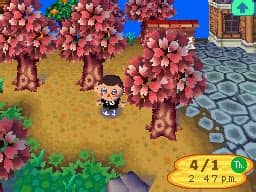 Guide showing how to change your character's appearance (hair, eyes, skin color) in animal crossing: Animal Crossing: Wild World - Nookipedia, the Animal ...