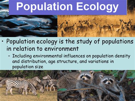 Ecology Definition Javatpoint
