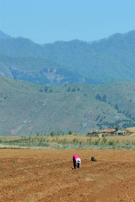 North Korea Countryside Landscape Stock Photo Image Of Crop Peasants