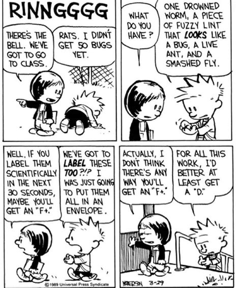 Pin by Sofia Dawood on Calvin and hobbes comics in 2020 | Calvin and
