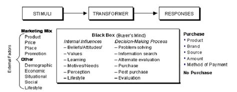 Buyer Behaviour Model