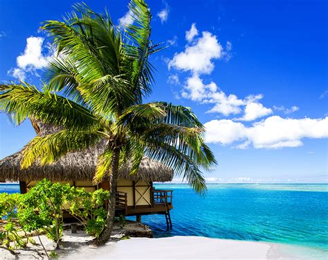 Photos Bora Bora French Polynesia Bungalow Nature Sky Tropics Palm