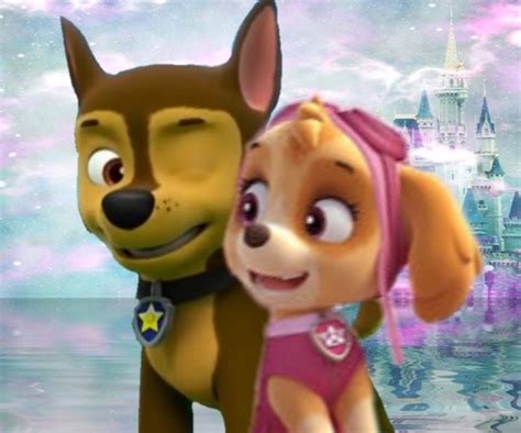 Chase And Skye Skye And Chase Paw Patrol Photo 40463627 Fanpop
