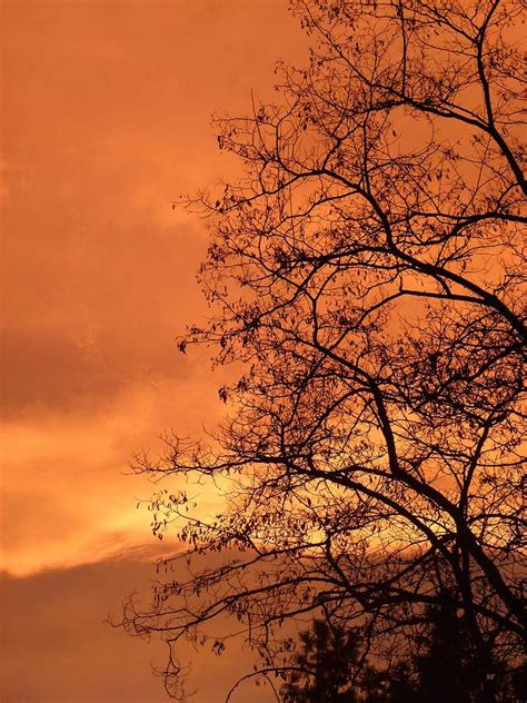 Glorious Silhouettes 1 Photograph By Will Borden Fine Art America