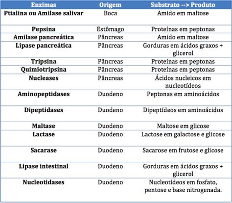 O'que São Enzimas Digestivas
