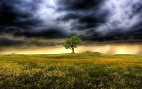 Storm Weather Rain Sky Clouds Nature Landscape Tree Wallpapers Hd Desktop And Mobile