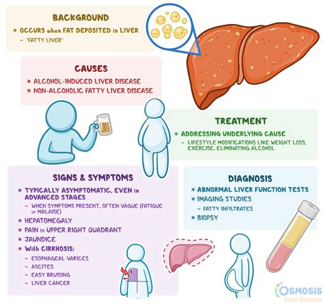 Fatty Liver Causes And Treatment