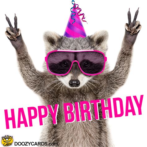 Happy Birthday Funny Raccoon These Happy Birthday Wishes Are Funny