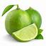 Limes – Western Veg Pro Inc  Fruit & Vegetable Growers Shippers