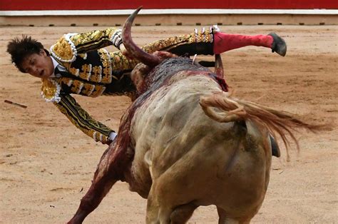 Bullfighter Who Took Horn Up The Butt Now Takes One In The Groin