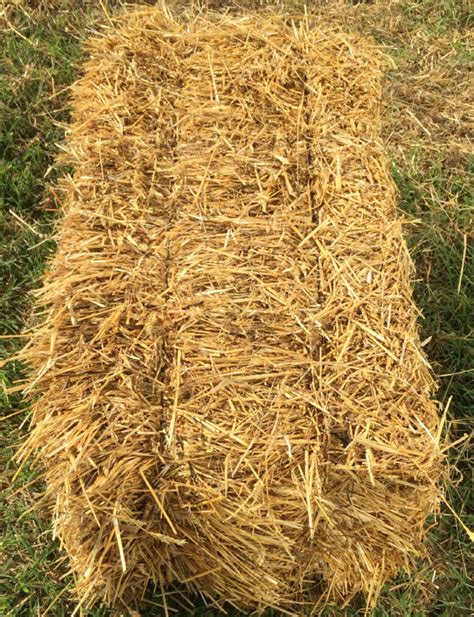 Straw Bales Central Victoria Hay