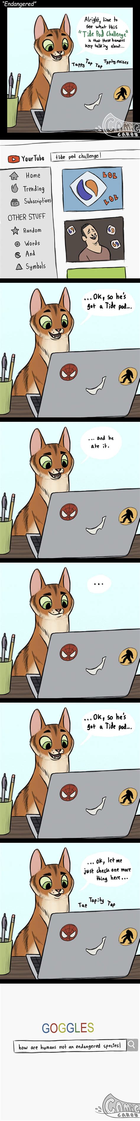 30 Funny Comics About Animals By Pet Foolery Bored Panda