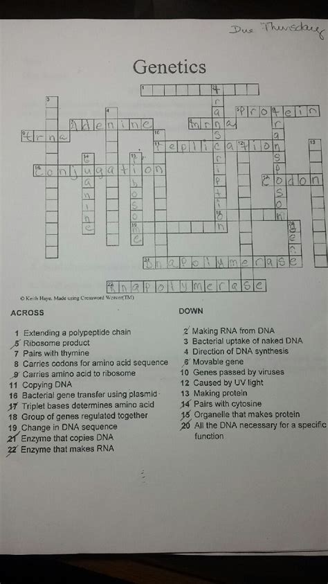 Introduction And Microscope Crossword Puzzle Micropedia