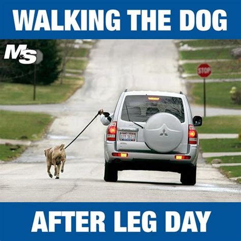 50 Hilarious After Leg Day Meme Workout Quotes Funny