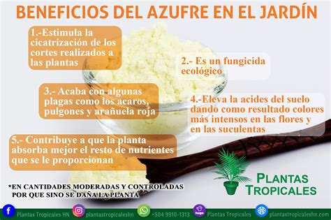 Javítás Méltóság Üzleti Leírás Propiedades Del Azufre Para Las Plantas