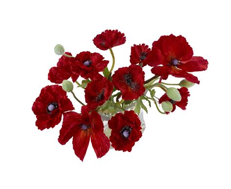 We did not find results for: Bloom Red Poppy Arrangement Artificial Silk Flowers Glass ...