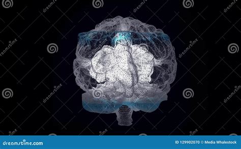 3d Render Xray Style Image Of Human Brain Rotating Human Brain Being