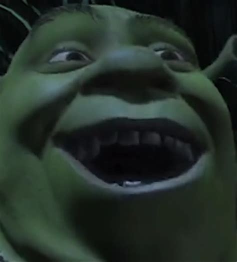 Shrek Laughing At Night Shrek Know Your Meme
