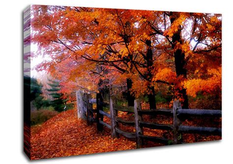 Orange Autumn Leaves Landscape Canvas Stretched Canvas