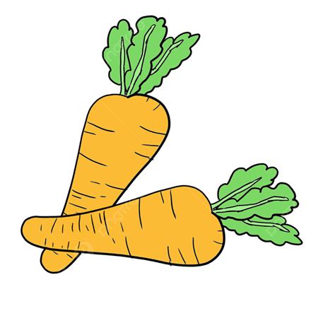 Vegetables Carrots Clipart Transparent Png Hd Hand Drawn Cartoon
