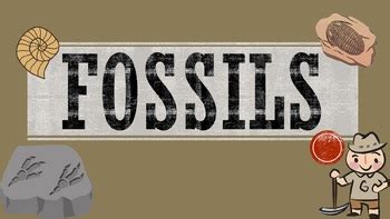 Fossils Powerpoint By Mrs Lane Tpt