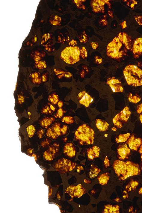 A Large Slice Of The Fukang Pallasite Meteorite Natural History