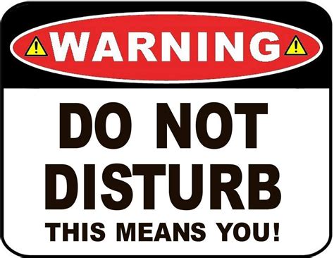 Warning Do Not Disturb This Means You 11 Inch By 9 5 Inch Laminated