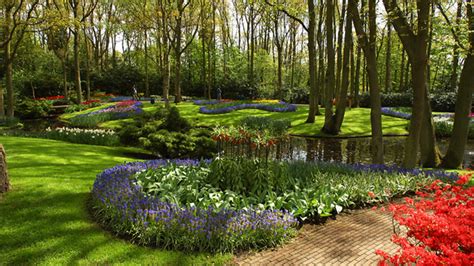 English garden flowers las vegas. Top Community Gardens In Las Vegas - CBS Las Vegas