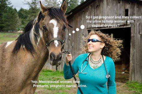 Is Premarin Made From Horse Urine