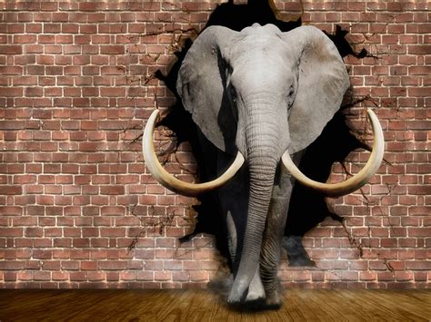Elephant Coming Out Of The Walls Wallpapers For Walls 3d Illustration