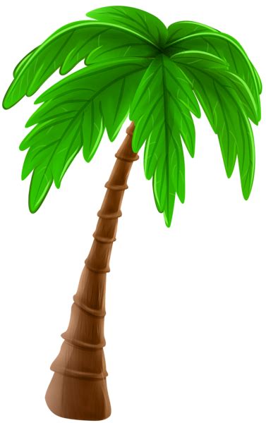 Palm Tree Clipart Transparent Background Download High Quality Palm