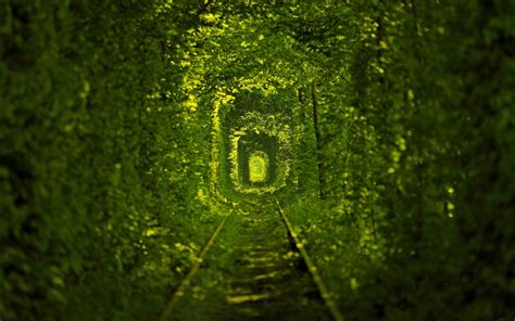 Tunnel Of Love By Aleksandr Kozachok