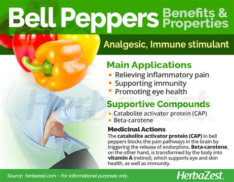 Nutritional Benefits Of Bell Peppers Runners High Nutrition