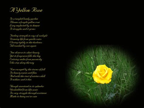 The Rose Beyond The Wall الصفحة 3