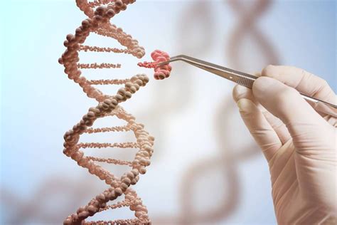 ¿por Qué No Se Usa Ya La Modificación Genética Para Eliminar Las