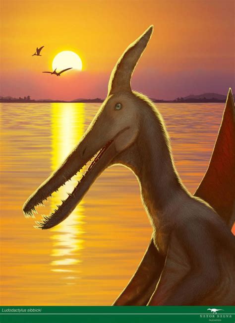 Ludodactylus by https://www.deviantart.com/vitor-silva on @DeviantArt