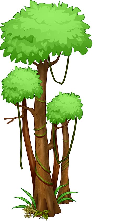 Jungle Trees Clipart 10 Free Cliparts Download Images On Clipground 2024