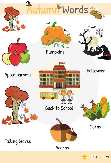 Autumn Words Useful Autumn Vocabulary With Pictures 7esl