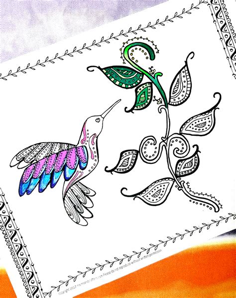 Instant Download Hand Drawn Coloring Pages Black And White Hummingbird