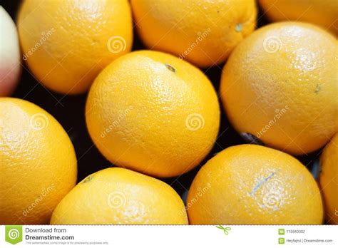 Group Of Fresh Orange Fruits Stock Photo Image Of Fresh Details