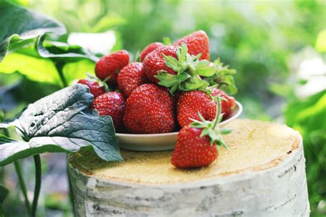 17 Manfaat Buah Strawberry Yang Baik Untuk Kesehatan