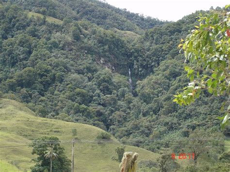 El Fotografo Imagenes De Colombia Valle Del Cocora 2